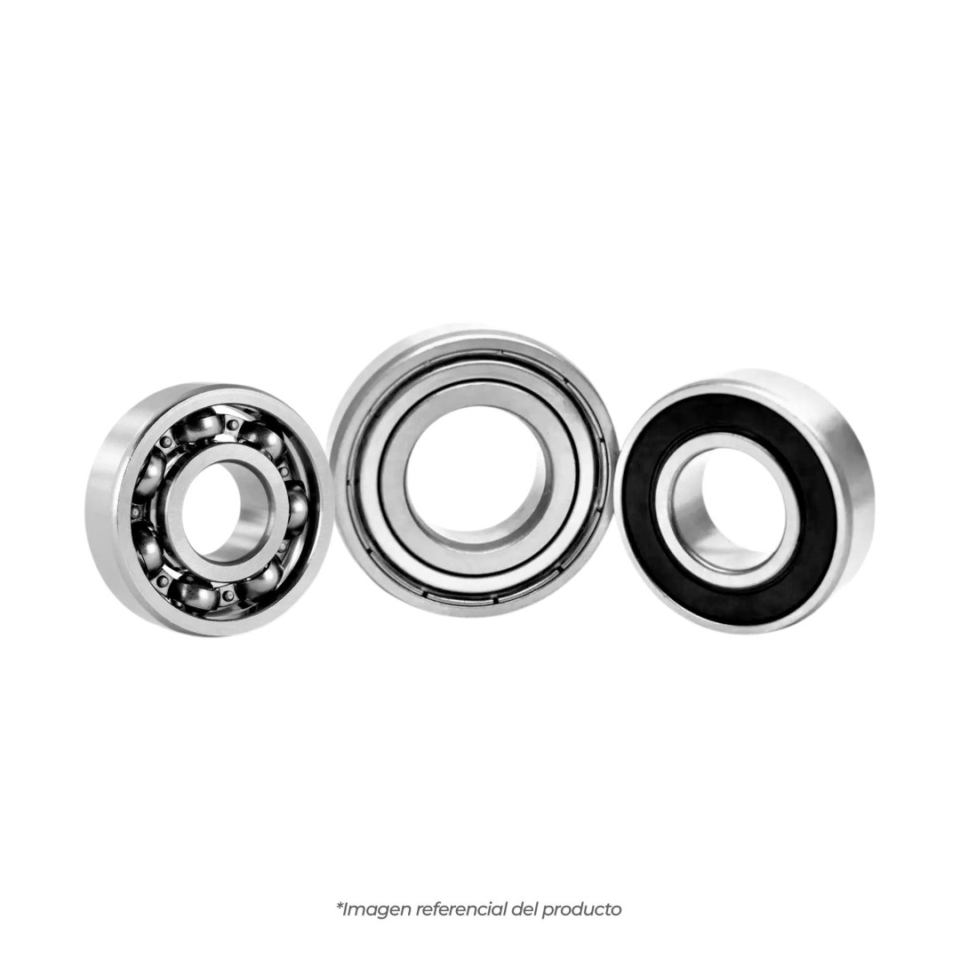 6310-2RS-C3
